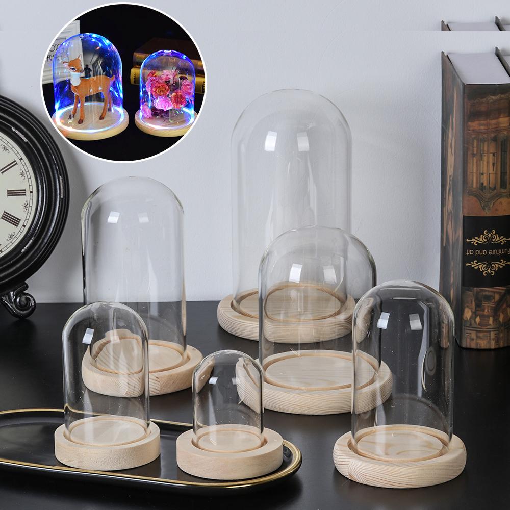 Home Decor Plants Jar Terrariu - Home Decor Glass 리뷰 및 가격