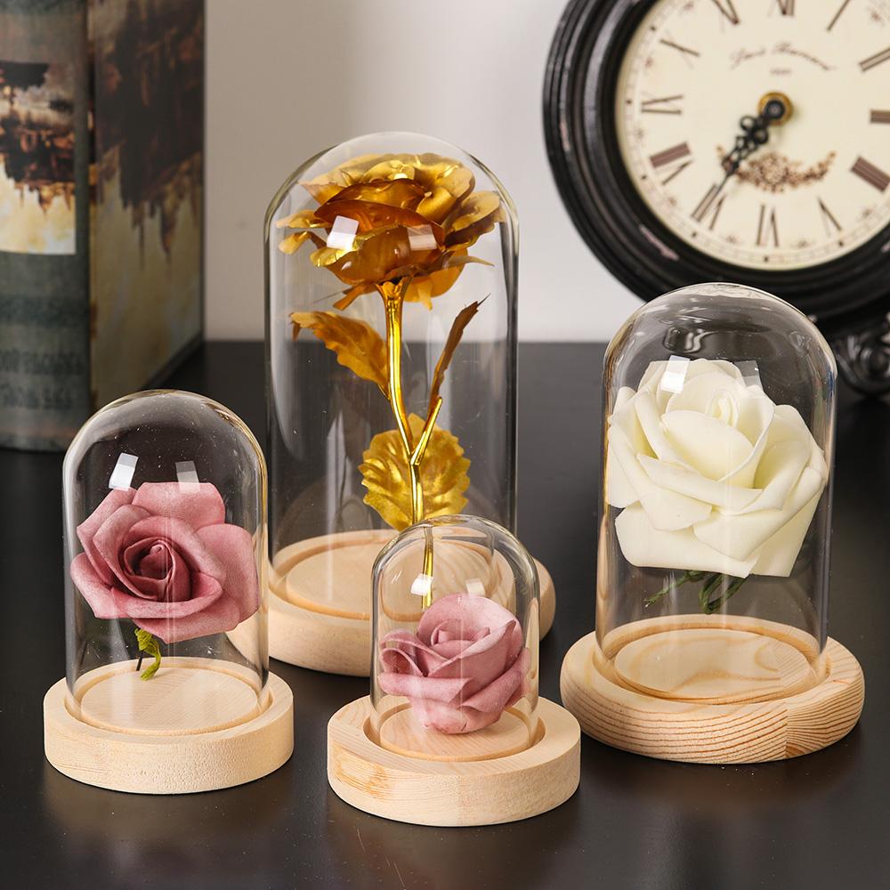Home Decor Plants Jar Terrariu - Home Decor Glass 리뷰 및 가격
