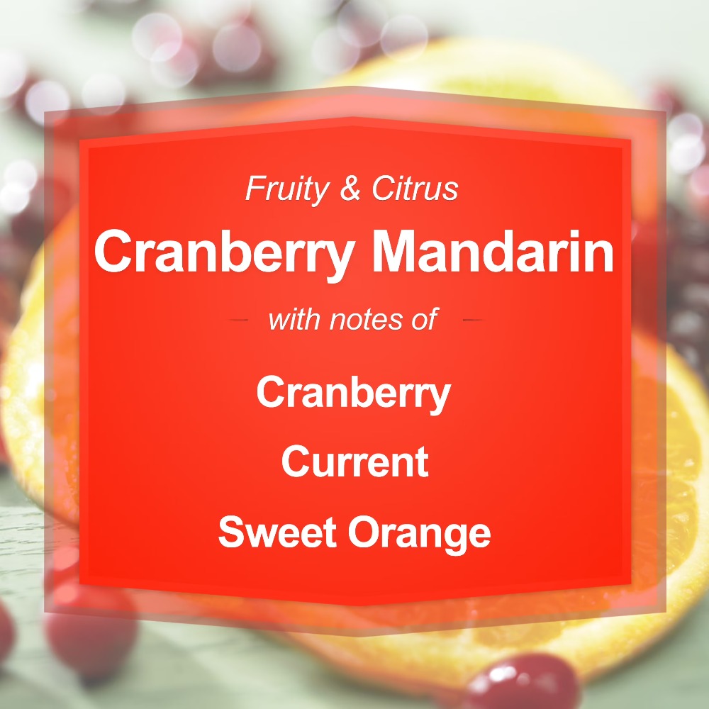 Cranberry Mandarin Scented Can - Home Decor Glass 리뷰 및 가격