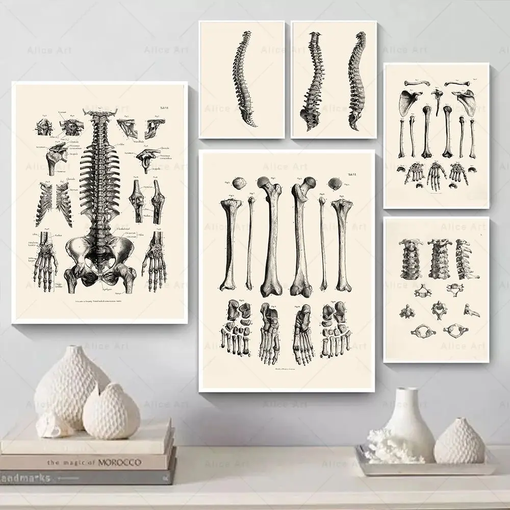 Frameless,Scandinavian Minimal - Home Decor Minimal 리뷰 및 가격