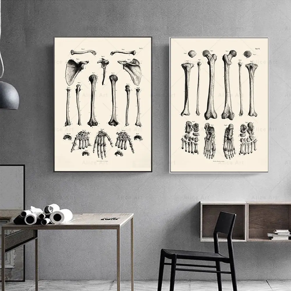 Frameless,Scandinavian Minimal - Home Decor Minimal 리뷰 및 가격