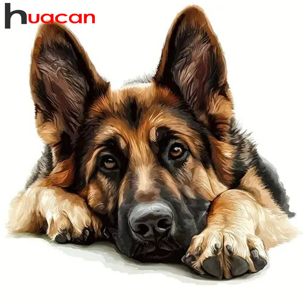 Huacan Diamond Painting German - Germany Home Decor 리뷰 및 가격