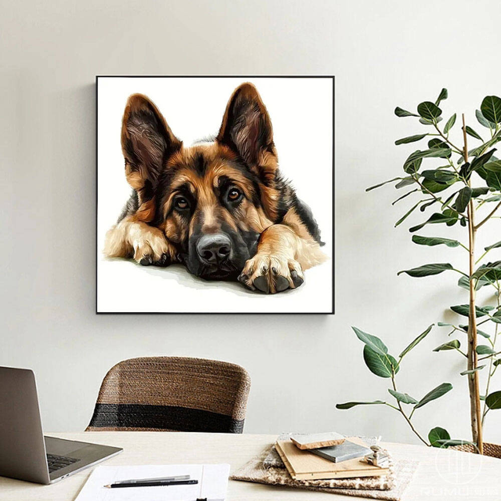 Huacan Diamond Painting German - Germany Home Decor 리뷰 및 가격
