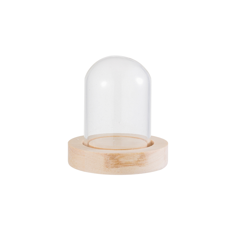 Fairy Lights Home Decor Terrar - Home Decor Glass 리뷰 및 가격