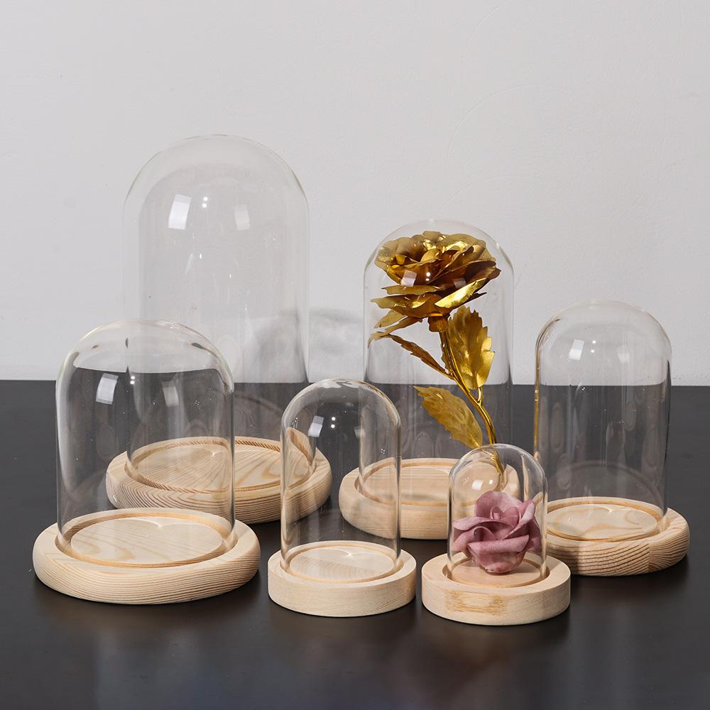 Fairy Lights Home Decor Terrar - Home Decor Glass 리뷰 및 가격